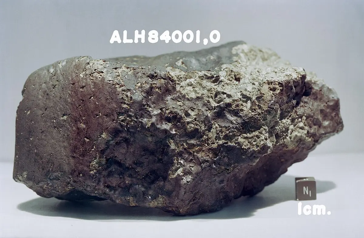 The Martian meteorite ALH 84001, mostly covered by a dull, dark fusion crust