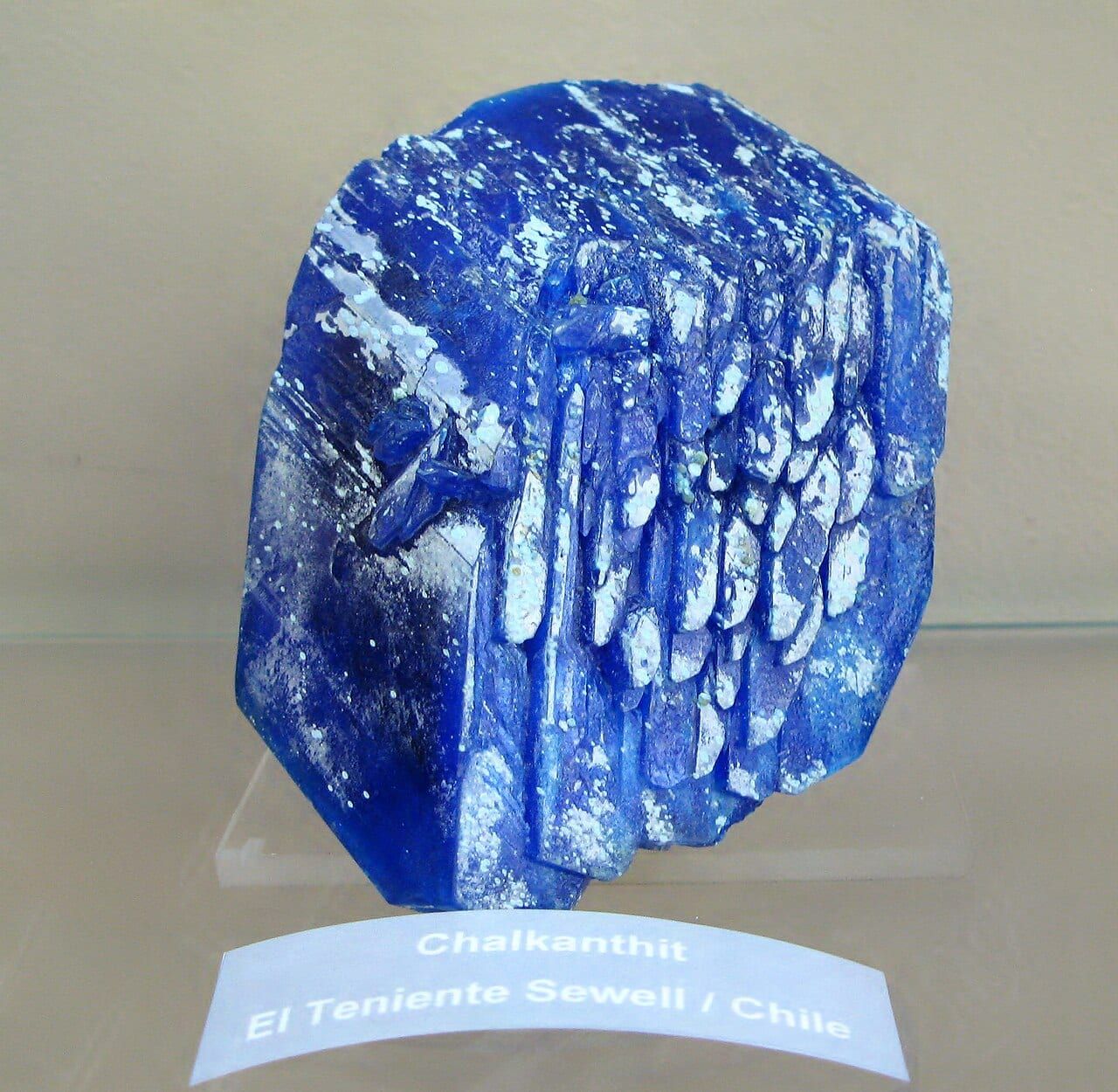 Chalcanthite from the El Teniente mine, Chile