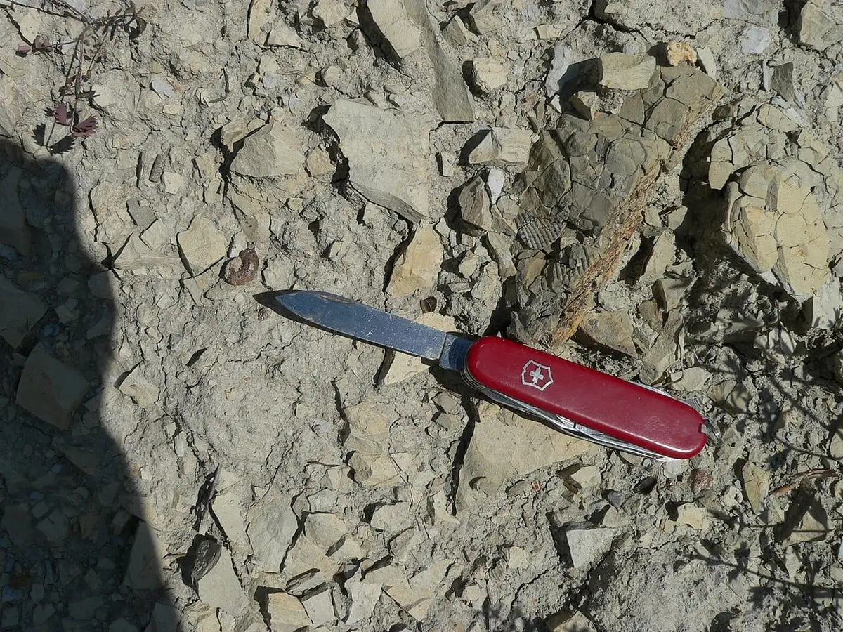 Fransa'da Col St. Jean yakınında fosilce zengin mavi marn