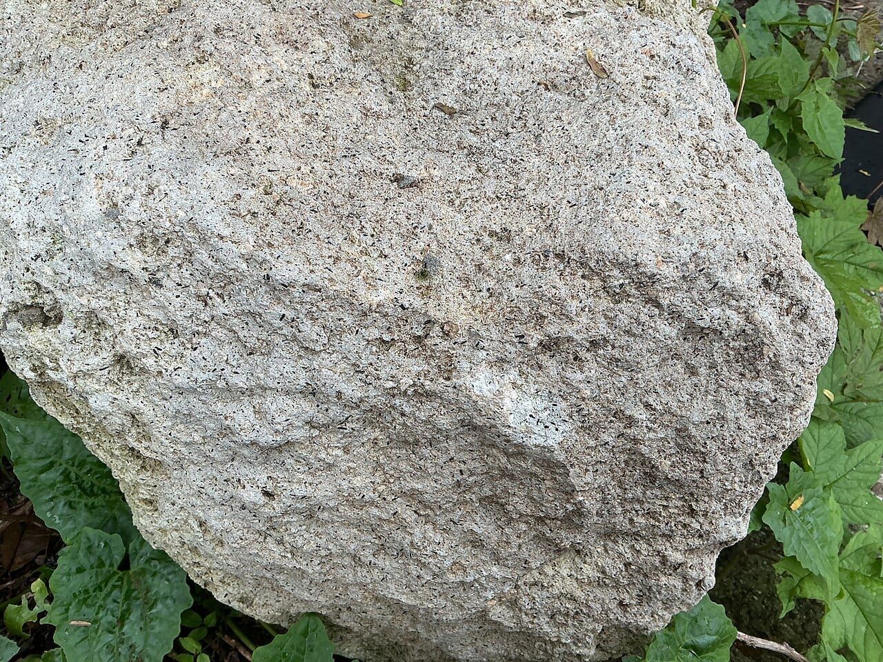 Dasit örneği