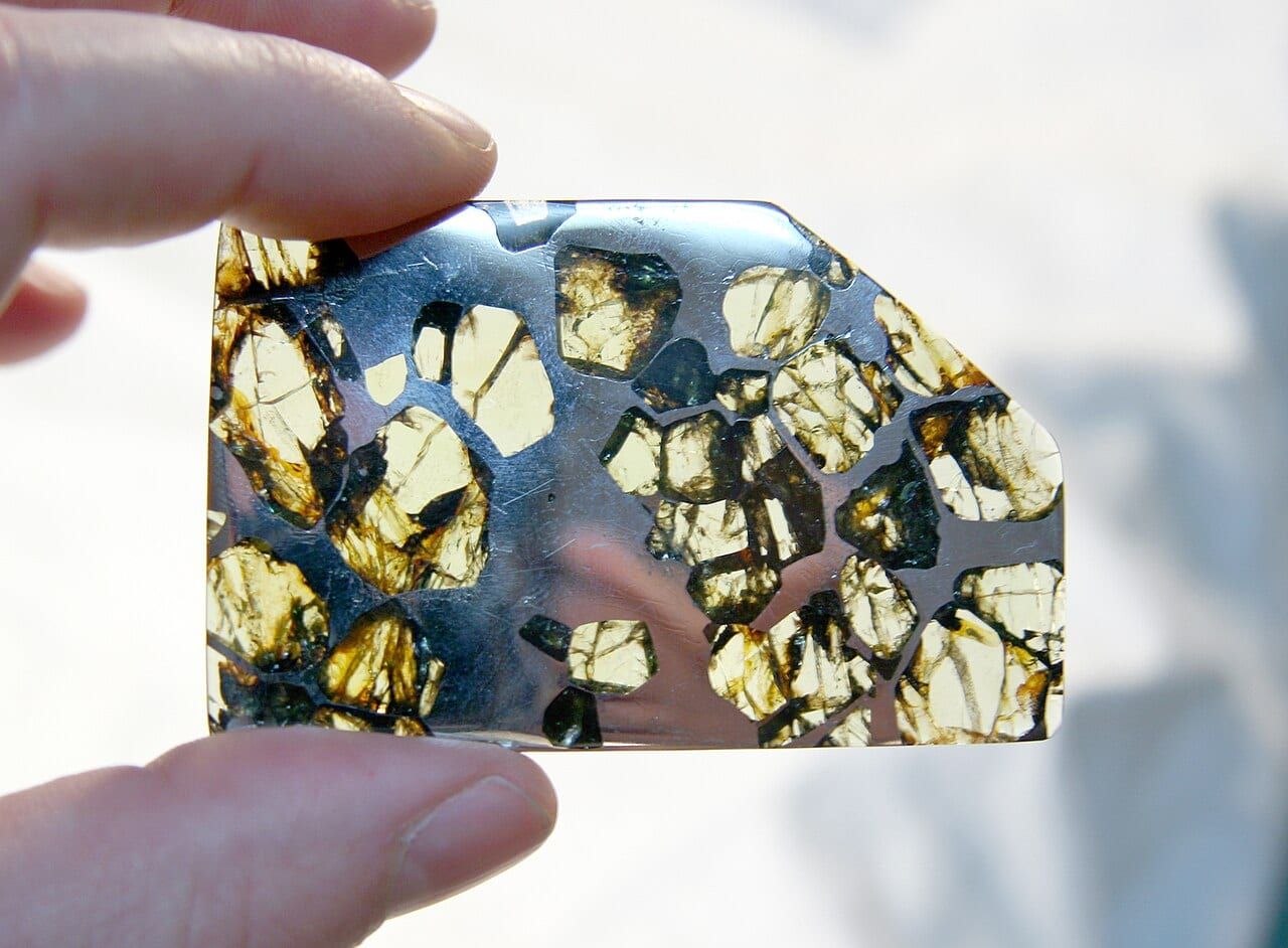Pallasite specimen