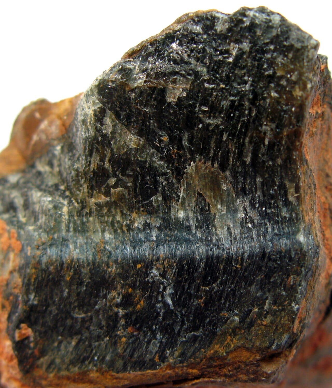 Hawk's eye specimen (2)