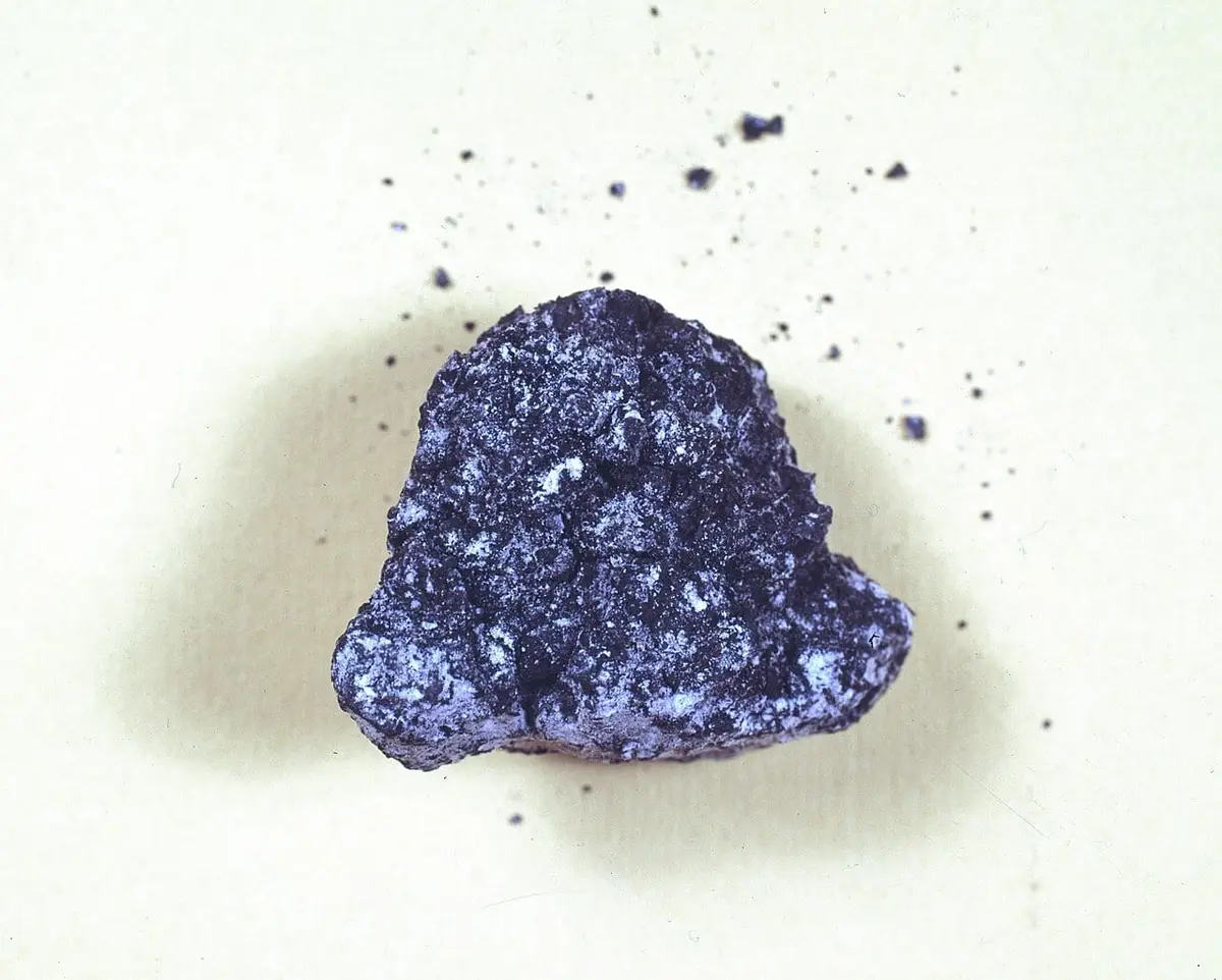 Paris Maden Okulu Mineraloji Müzesi'ndeki bir Orgueil parçası
