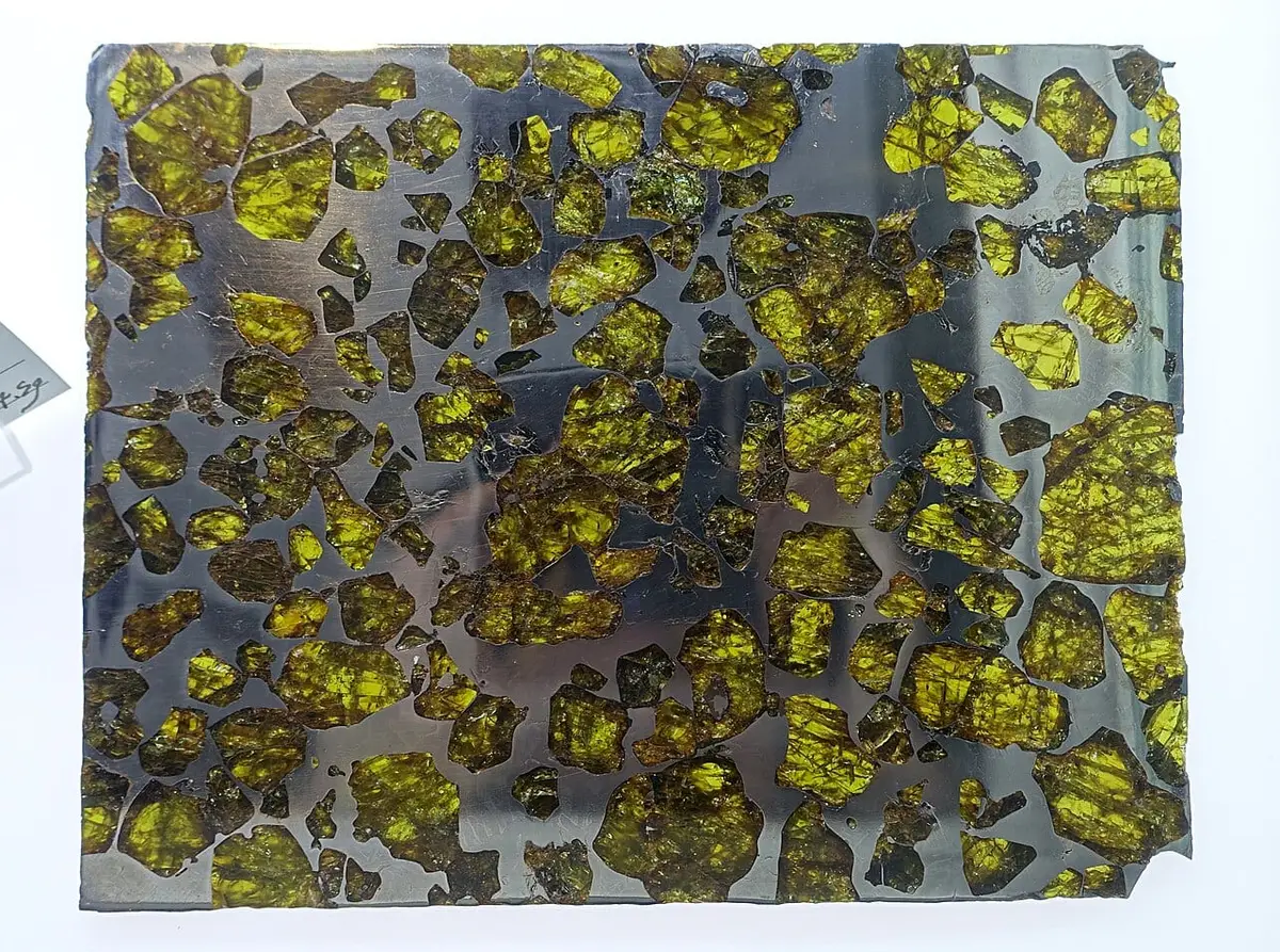 A slice of Fukang: golden olivine crystals set in metal