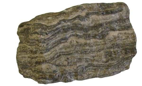 Gnays örneği