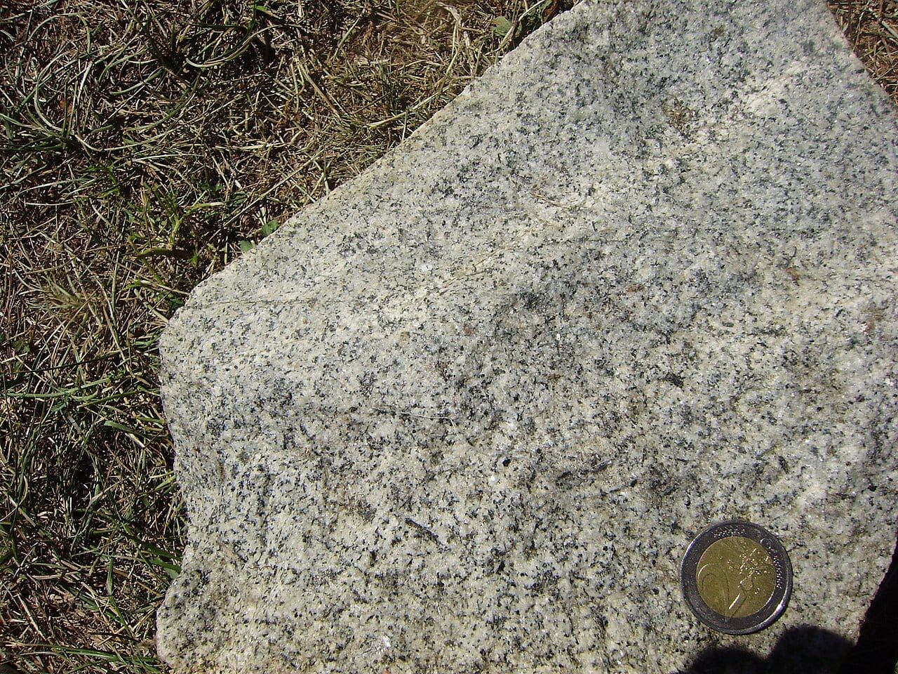Granodiorite specimen (2)