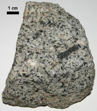 Granodiorite specimen