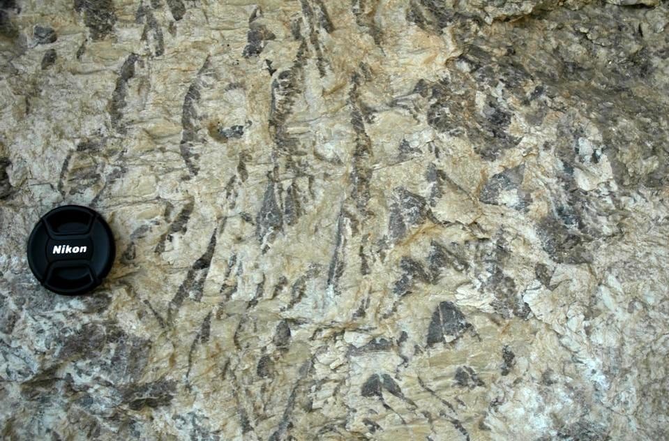 Graphic granite: dark grey quartz resembling script inside cream potassium feldspar