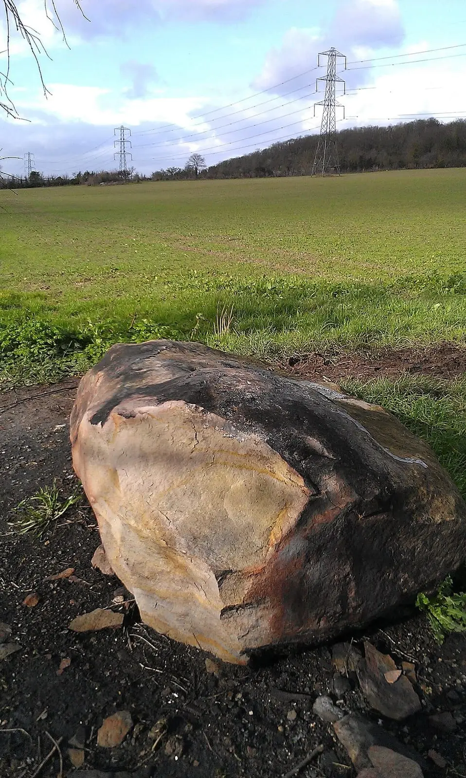 A lone sarsen near the Little Kit's Coty House tomb in Kent