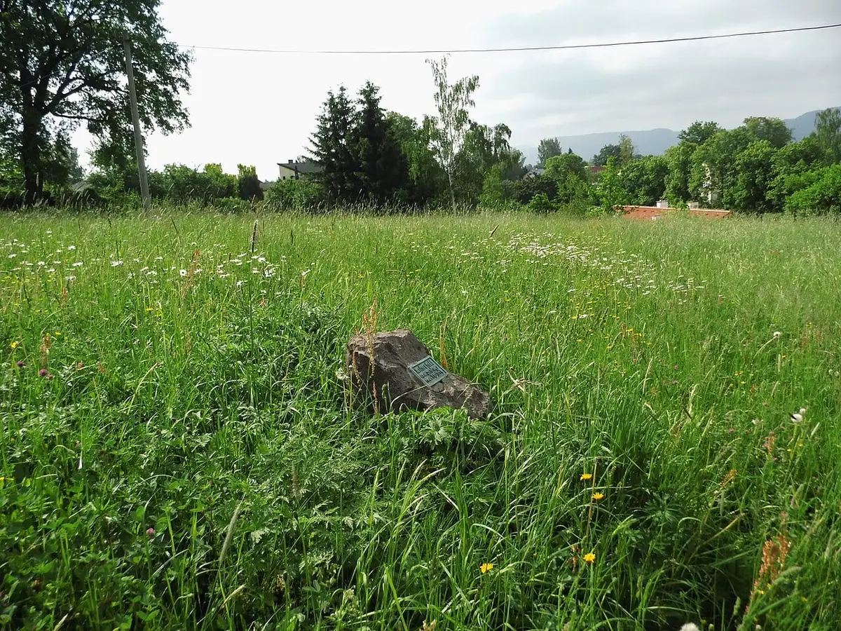 Hejtmánkovice'de Braunau meteoritinin büyük kütlesinin düştüğü yer