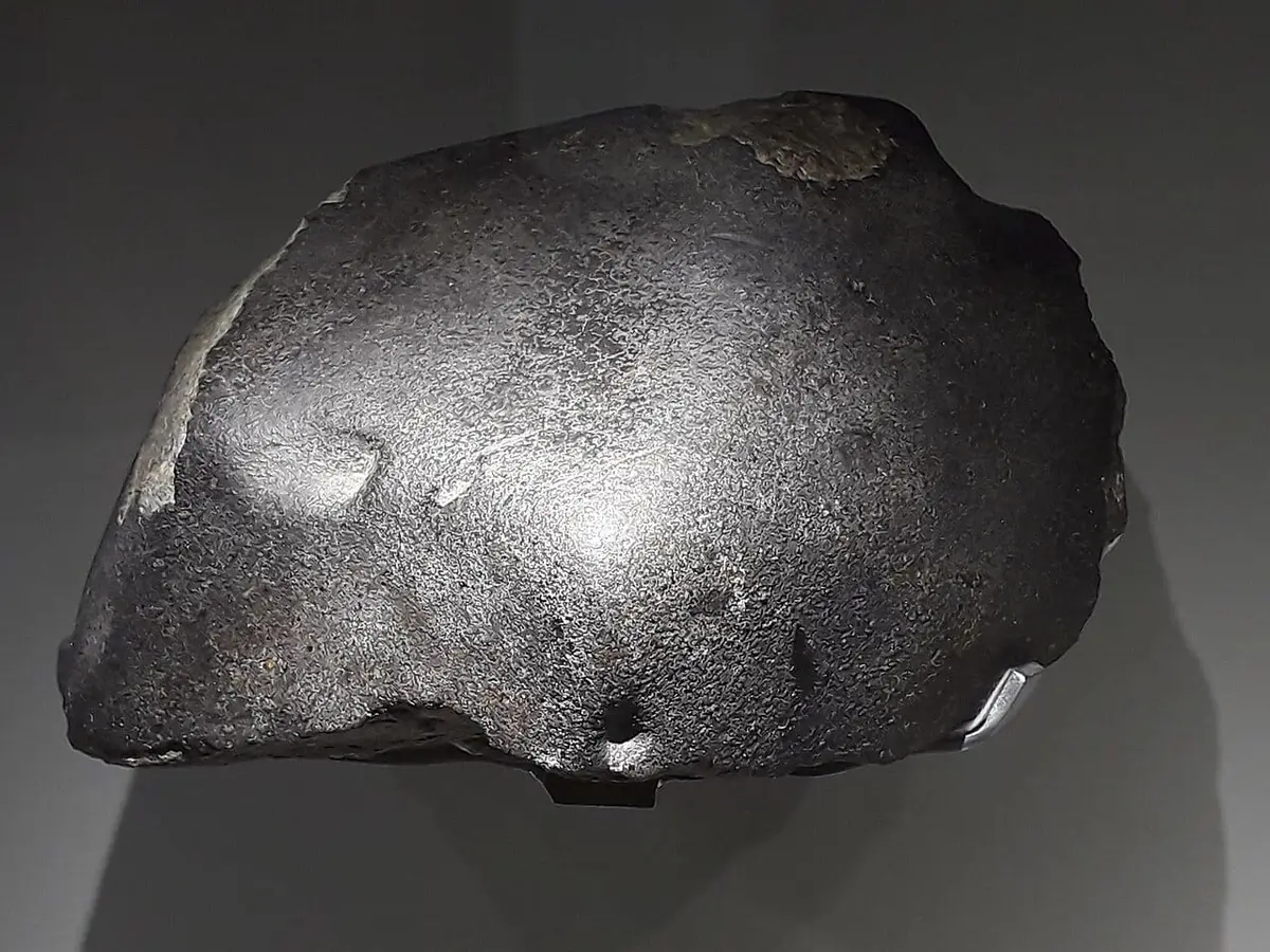 The L'Aigle L6 chondrite at the National Museum of Natural History, Paris