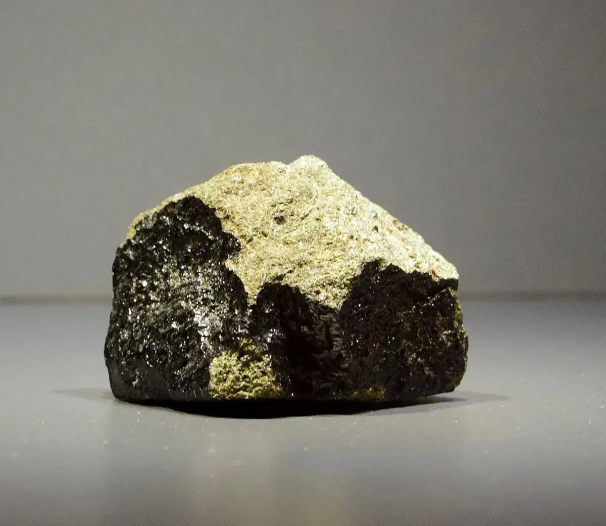 A piece of Nakhla at the National Museum of Natural History, Paris