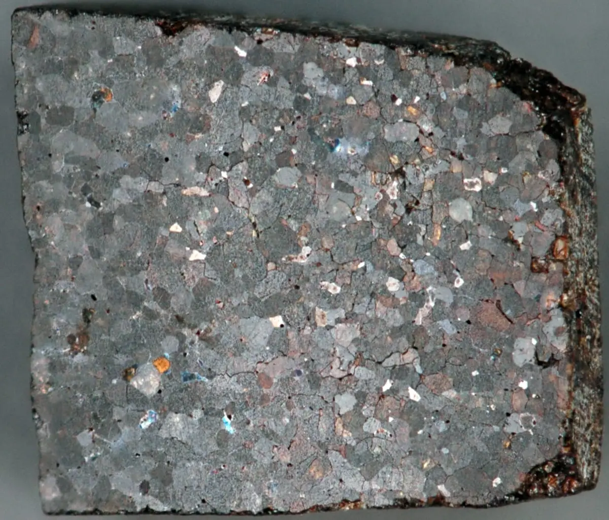 A 1.3 cm partial slice of the NWA 3151 brachinite