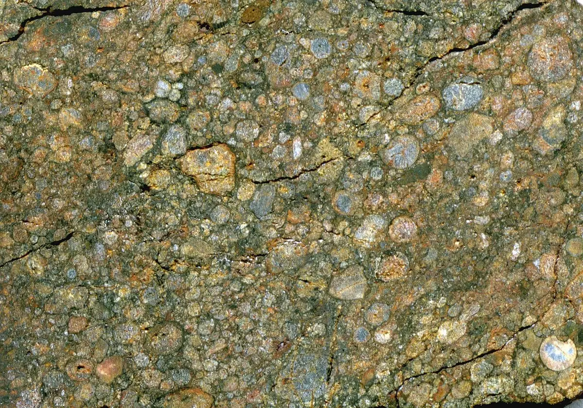Chondrules and shiny metal grains in a cut ordinary chondrite (field of view about 2.2 cm)