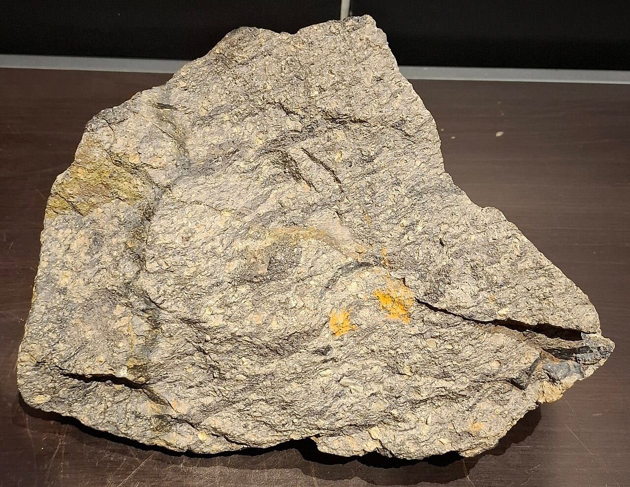 Ignimbrite specimen