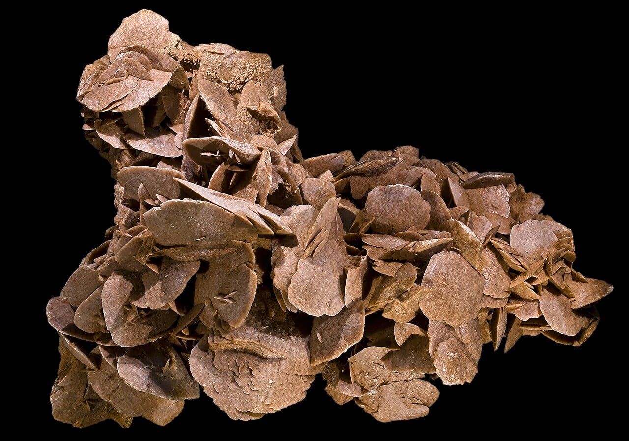 Desert rose specimen