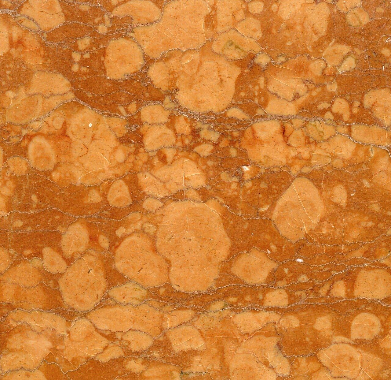 Polished Red Verona marble: pale nodules in a dark red matrix