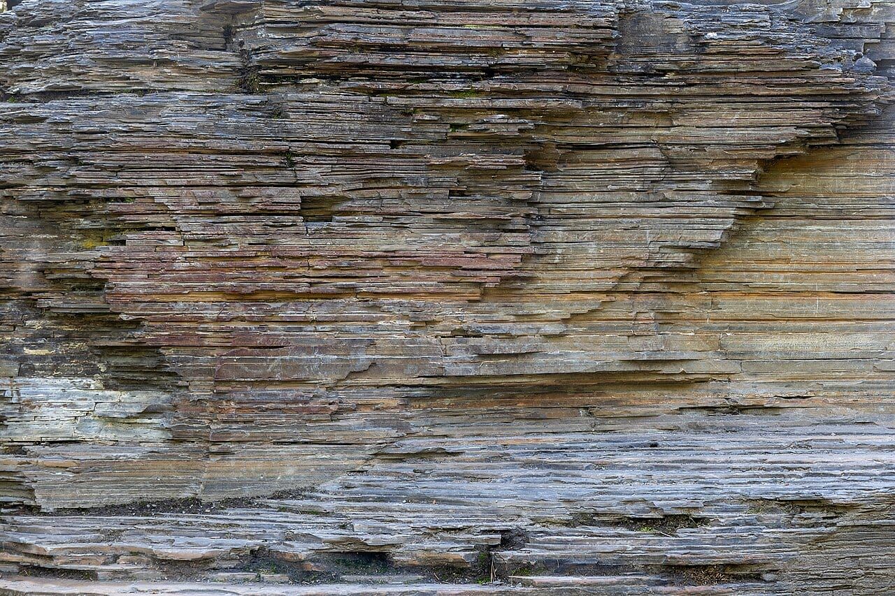 Shale specimen