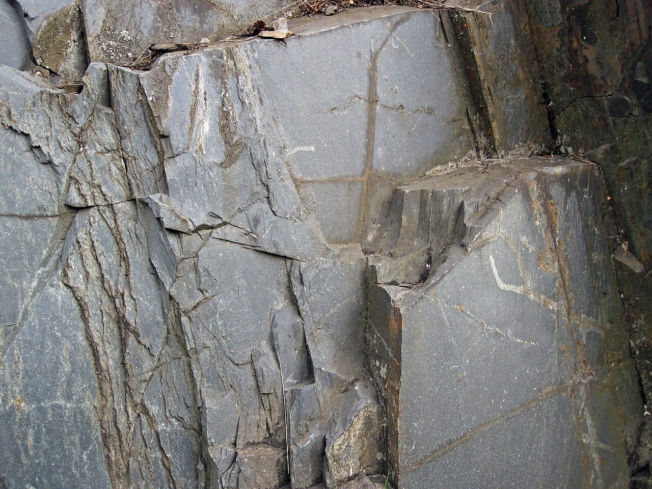 Slate specimen