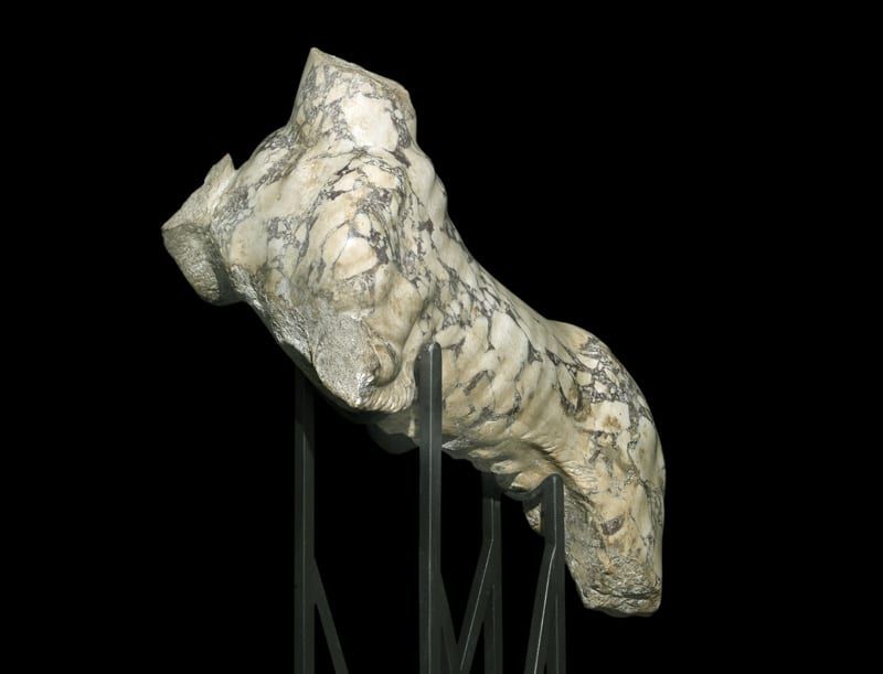 Roman panther statue in pavonazzetto (2nd–3rd century AD)