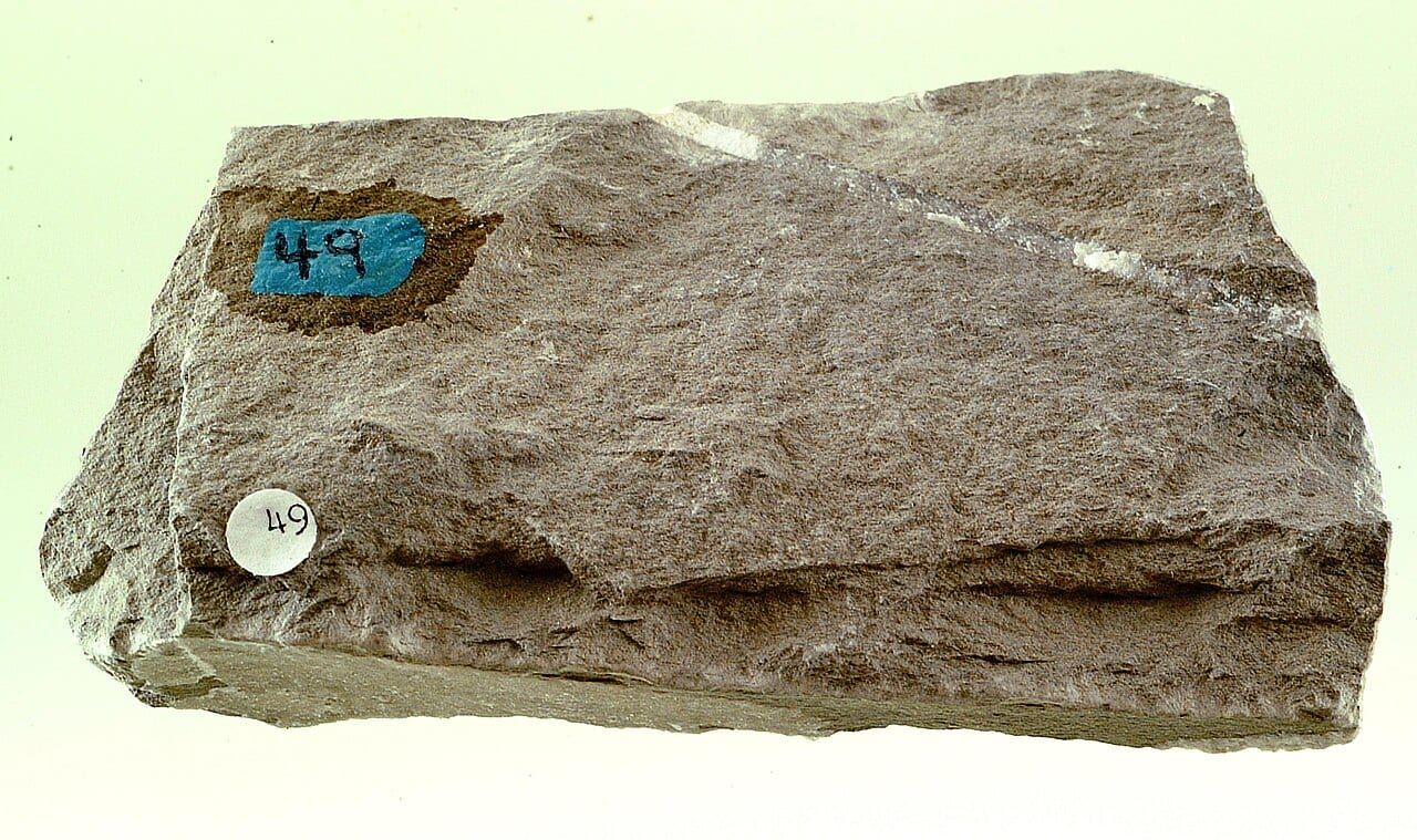 Silttaşı örneği