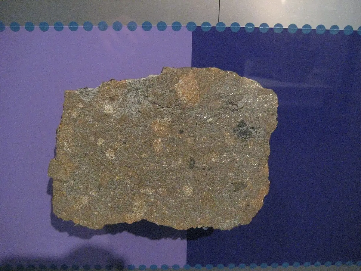 A piece of the Weston H4 chondrite that fell in Connecticut in 1807